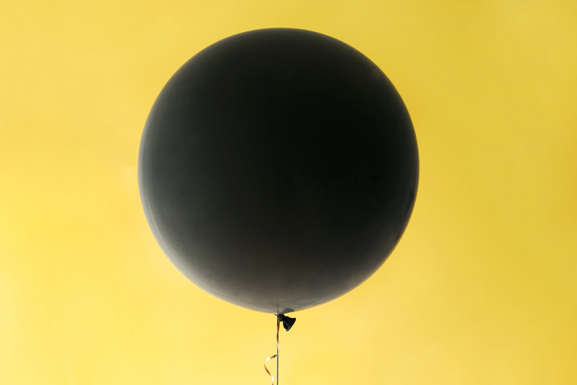 https://www.mightyrabbit.com/cdn/shop/files/black-balloon-on-yellow_2000x.jpg?v=1613675151
