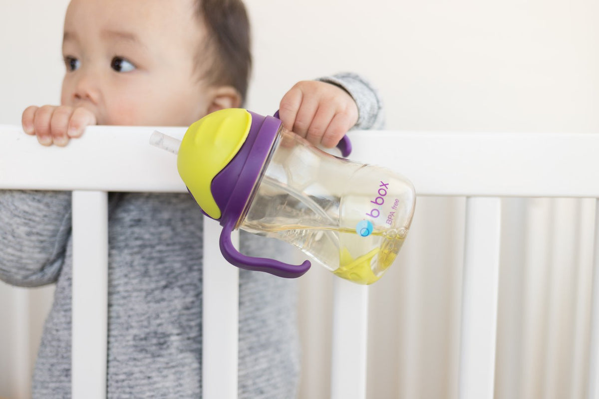 b.box NEW Sippy Cup- Deluxe Edition - PPSU - Green Purple