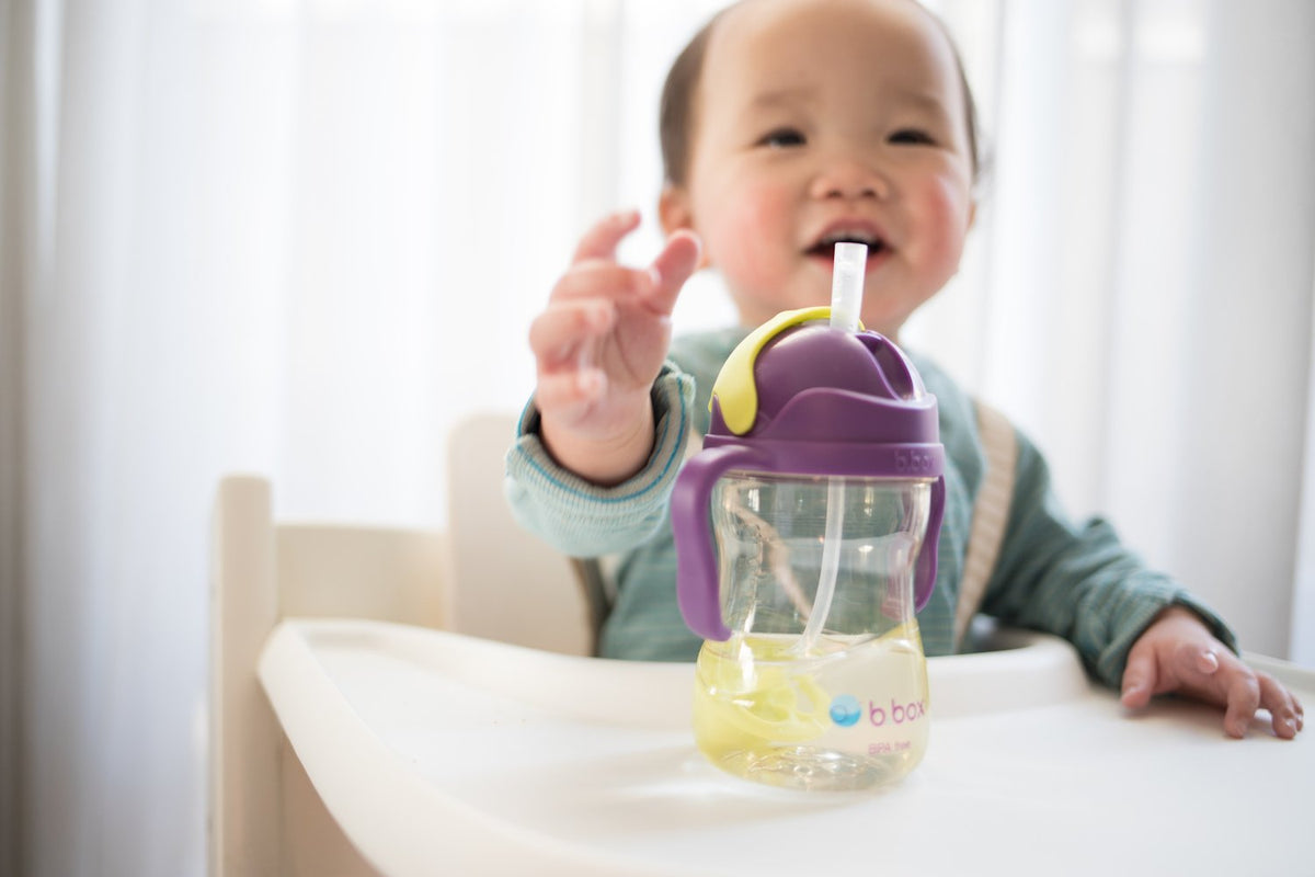 b.box NEW Sippy Cup- Deluxe Edition - PPSU - Green Purple