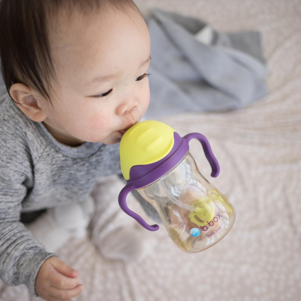b.box NEW Sippy Cup- Deluxe Edition - PPSU - Green Purple