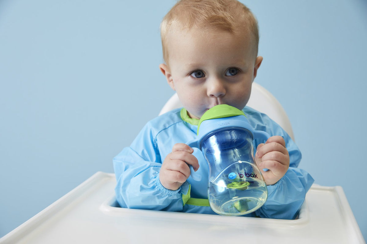 b.box NEW Sippy Cup- Deluxe Edition - PPSU - Green Purple