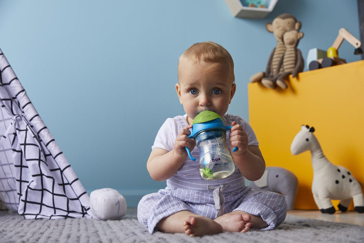 b.box NEW Sippy Cup - Deluxe Edition - PPSU - Blue Green