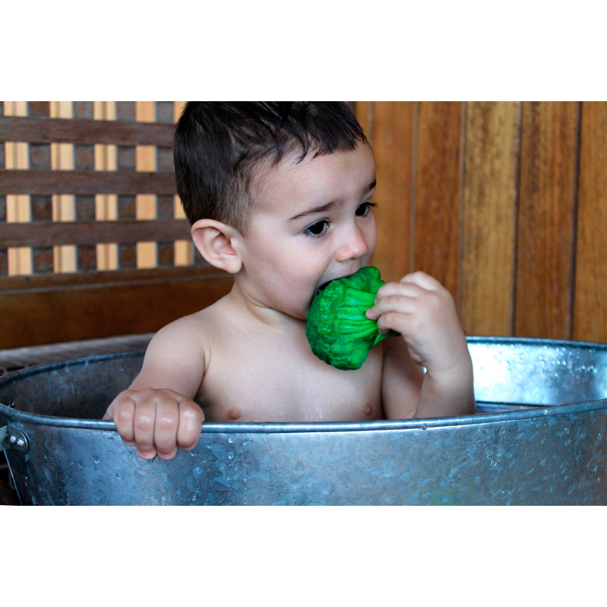 Oli &amp; Carol Brucy the Broccoli Teether