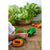 Oli & Carol Brucy the Broccoli Teether