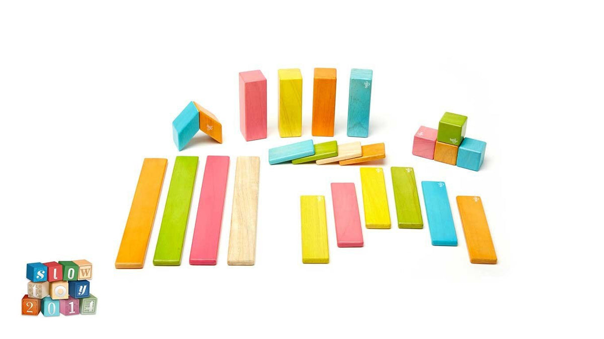 Tegu Tints Magnetic Wooden Block 24 Pieces