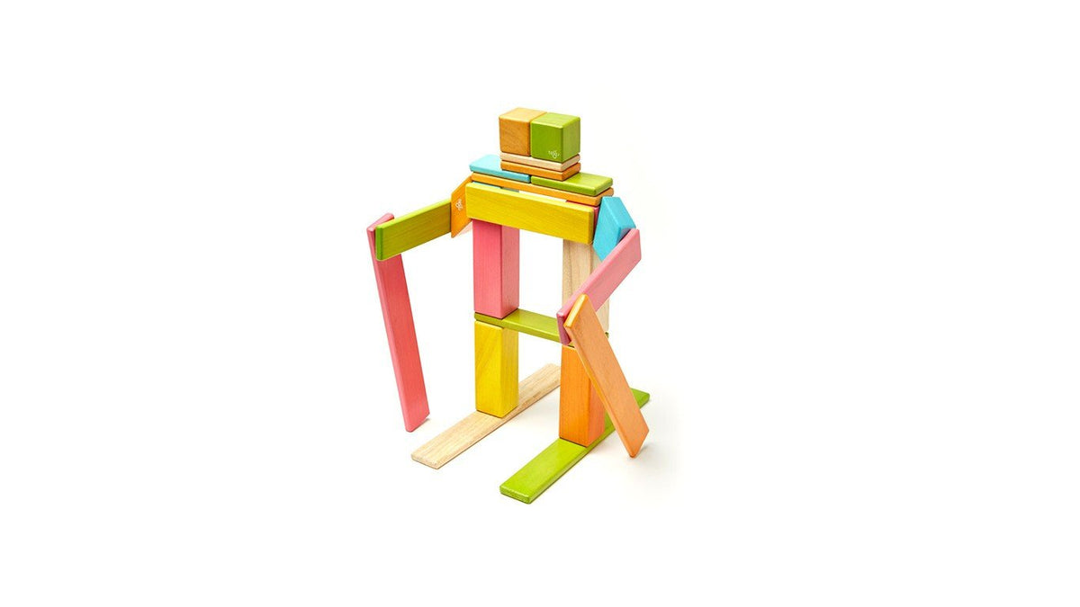 Tegu Tints Magnetic Wooden Block 24 Pieces