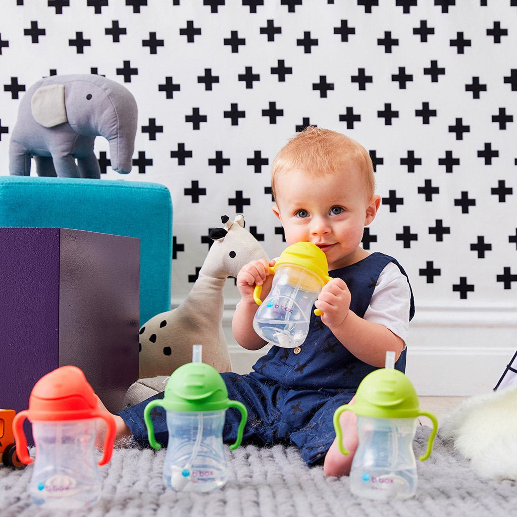 bbox-new-sippy-cup-bluberry- (8)