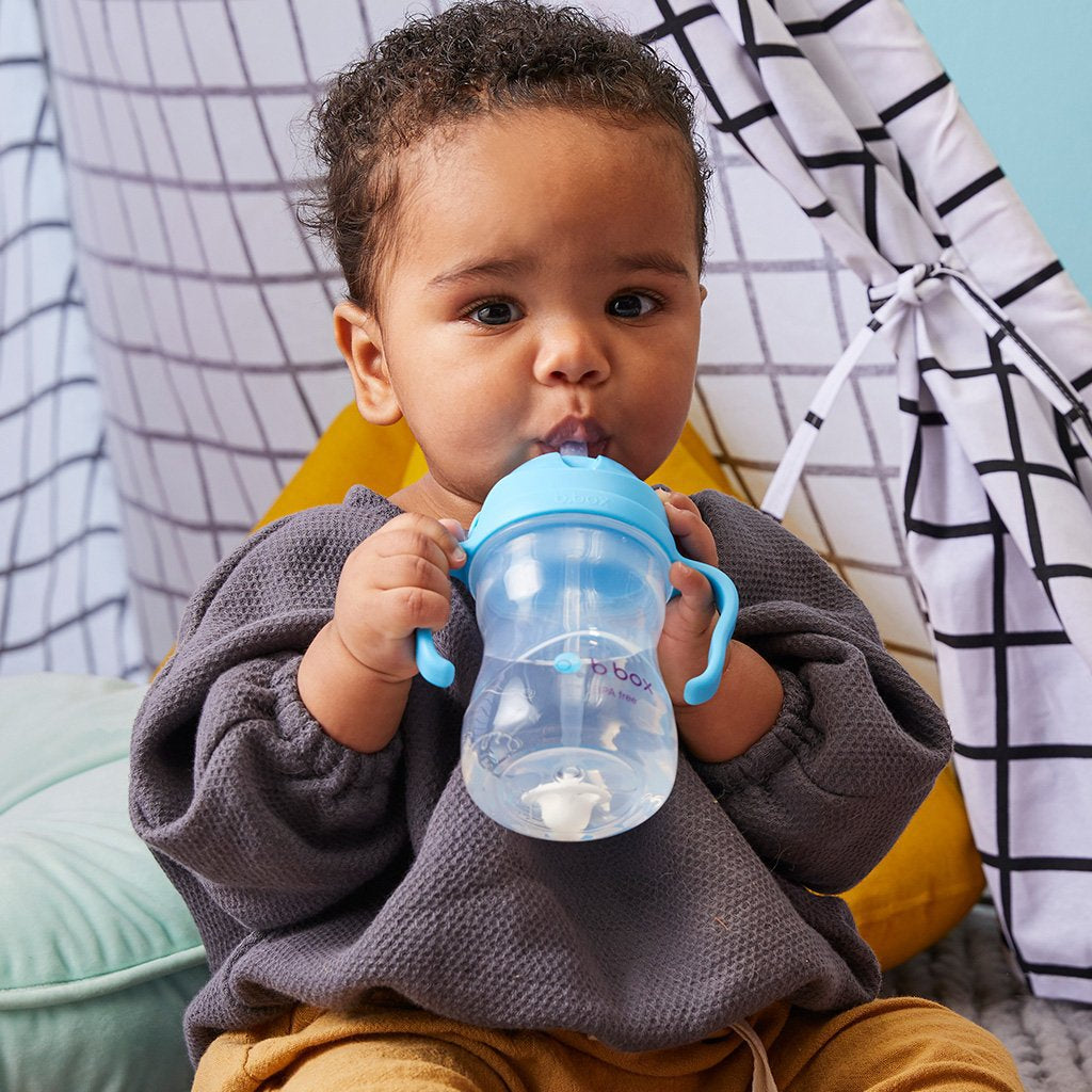 bbox-new-sippy-cup-watermelon- (17)