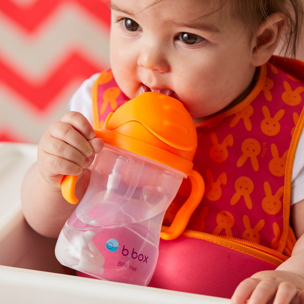 bbox-new-sippy-cup-watermelon- (16)