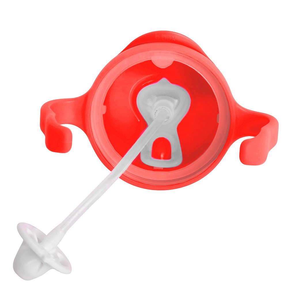 bbox-new-sippy-cup-watermelon- (3)
