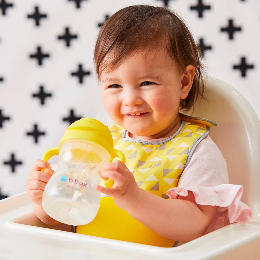 bbox-new-sippy-cup-watermelon- (9)