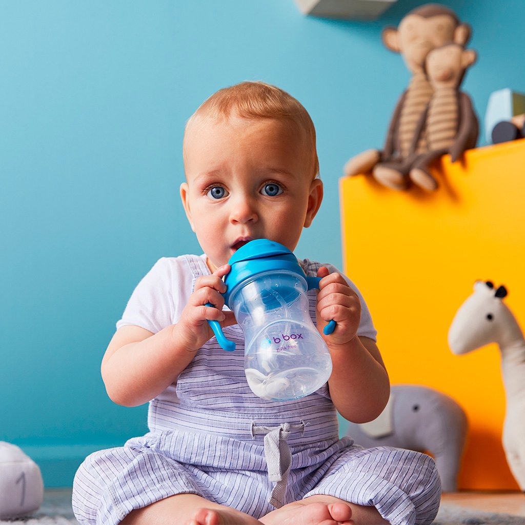 bbox-new-sippy-cup-watermelon- (10)