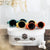 beaba-sunglasses-9-24m-pollen- (3)