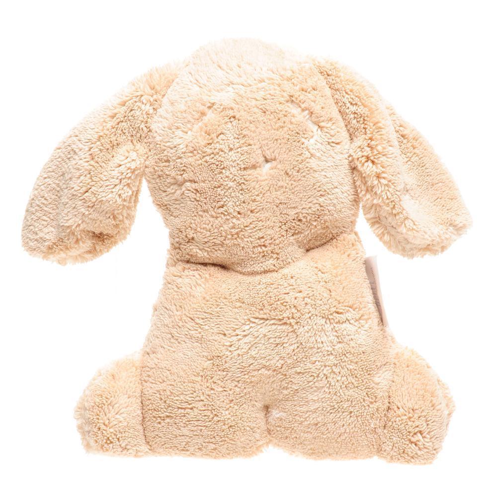 britt-snuggles-puppy-biscuit- (1)