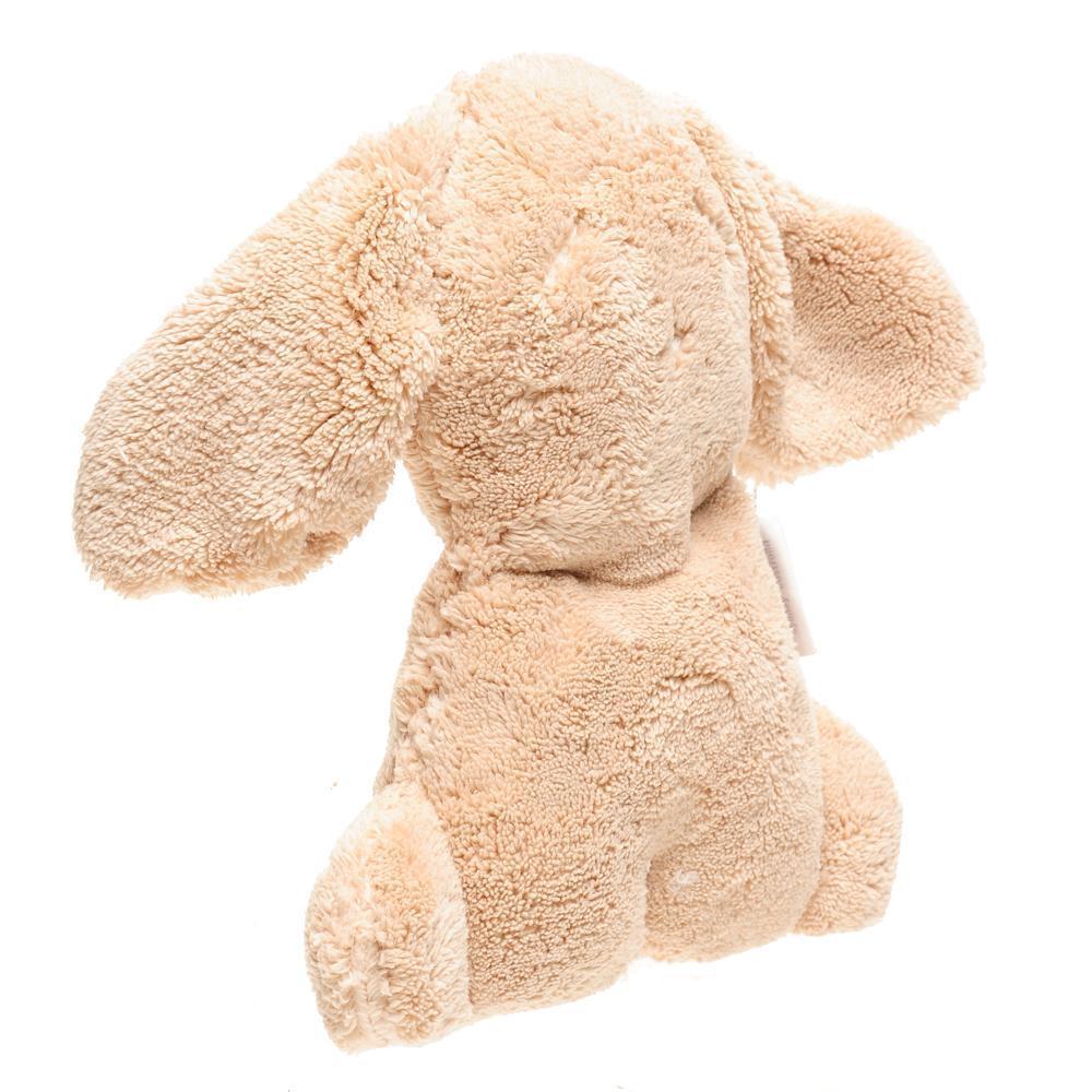 britt-snuggles-puppy-biscuit- (2)