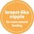 dr-browns-options+-breast-like-silicone-nipples-2s-y-cut-usa-9m+- (2)