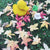 oli-&-carol-extra-large-monochrome-ducks-teether- (41)