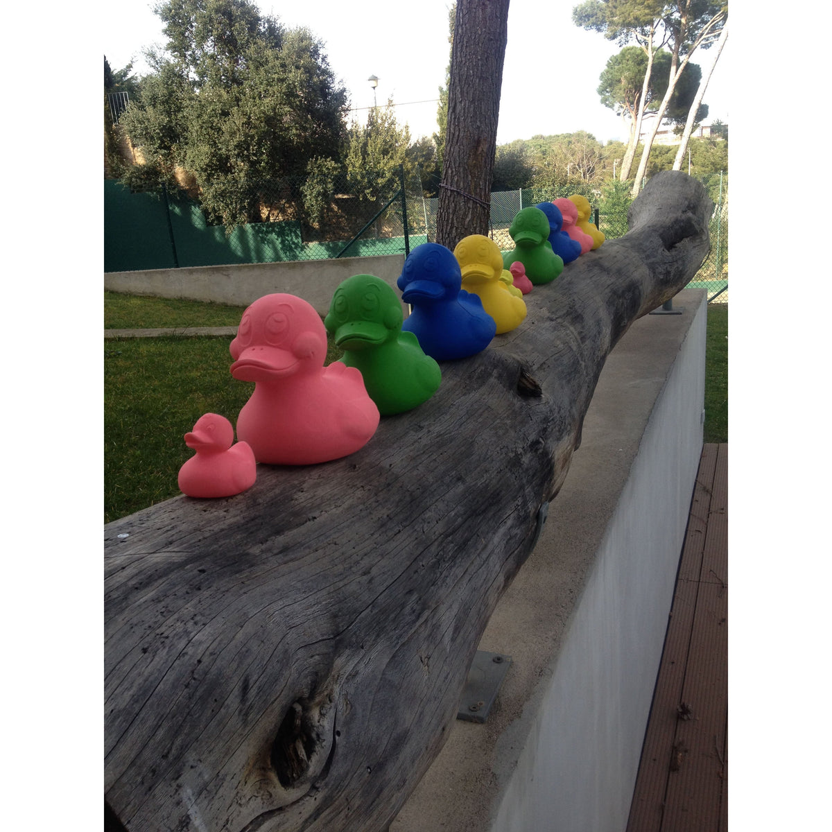oli-&amp;-carol-extra-large-monochrome-ducks-teether- (58)