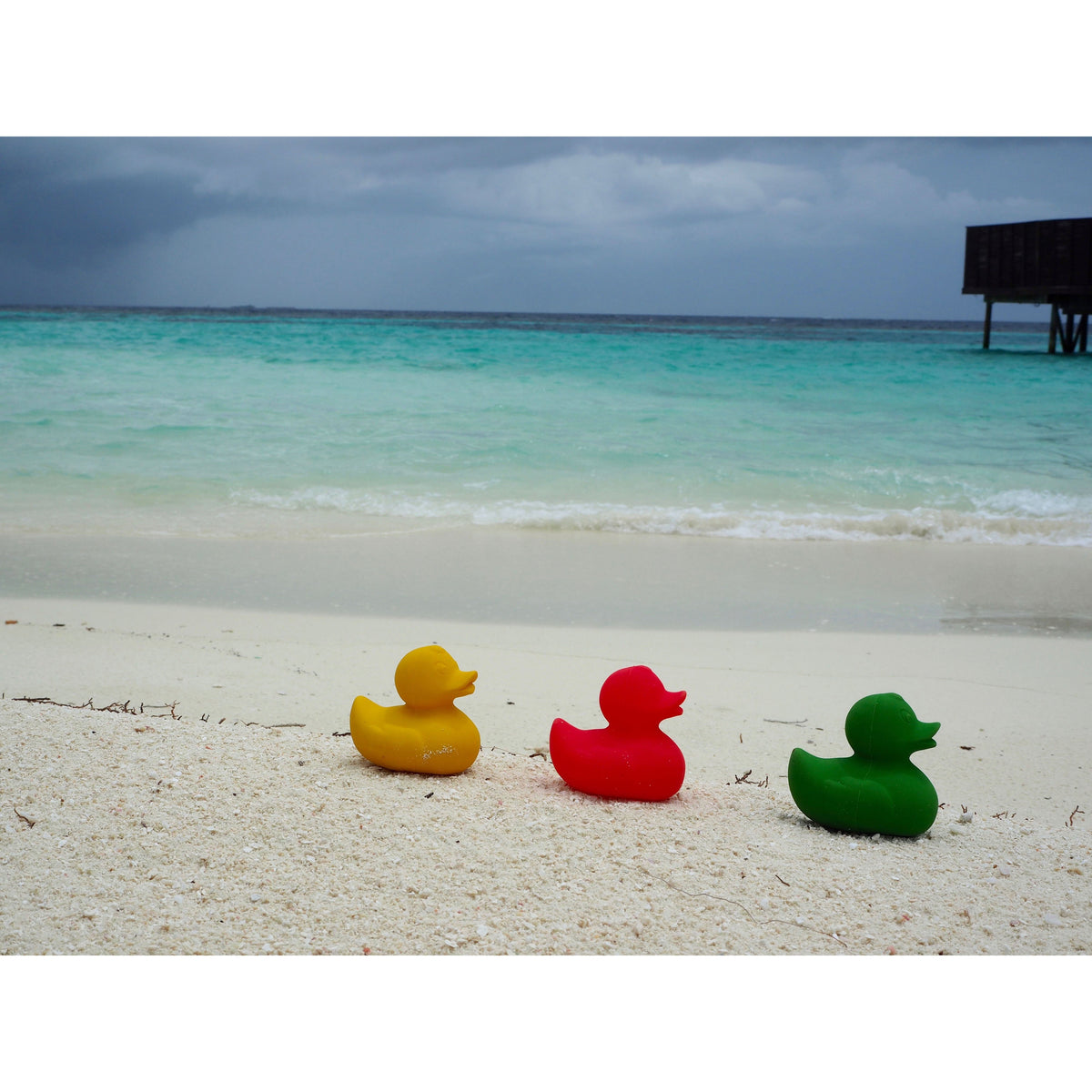 oli-&amp;-carol-small-monochrome-ducks-teether- (71)