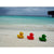 oli-&-carol-small-monochrome-ducks-teether- (71)