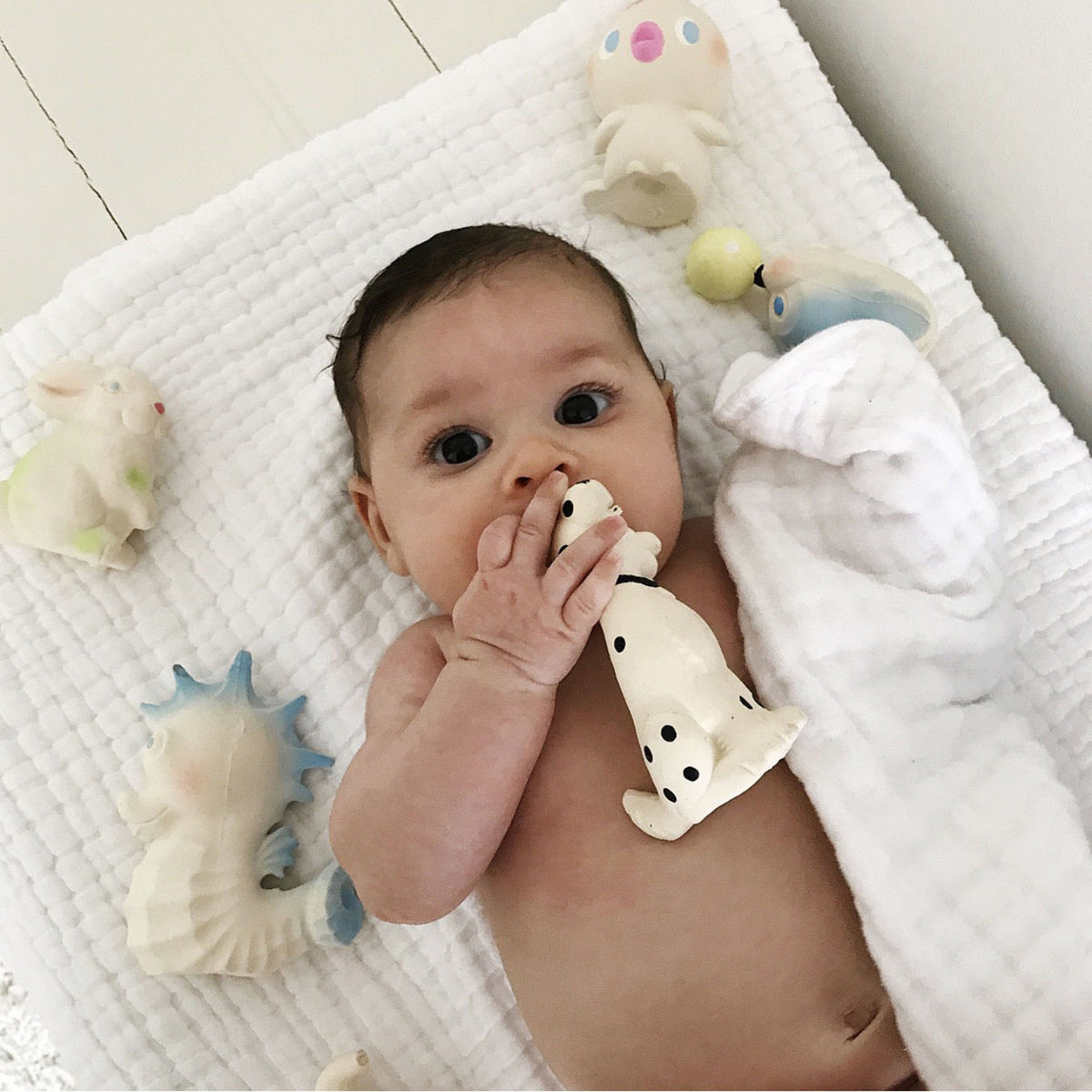 oli-&amp;-carol-vintage-bubbles-the-sea-horse-teether- (9)