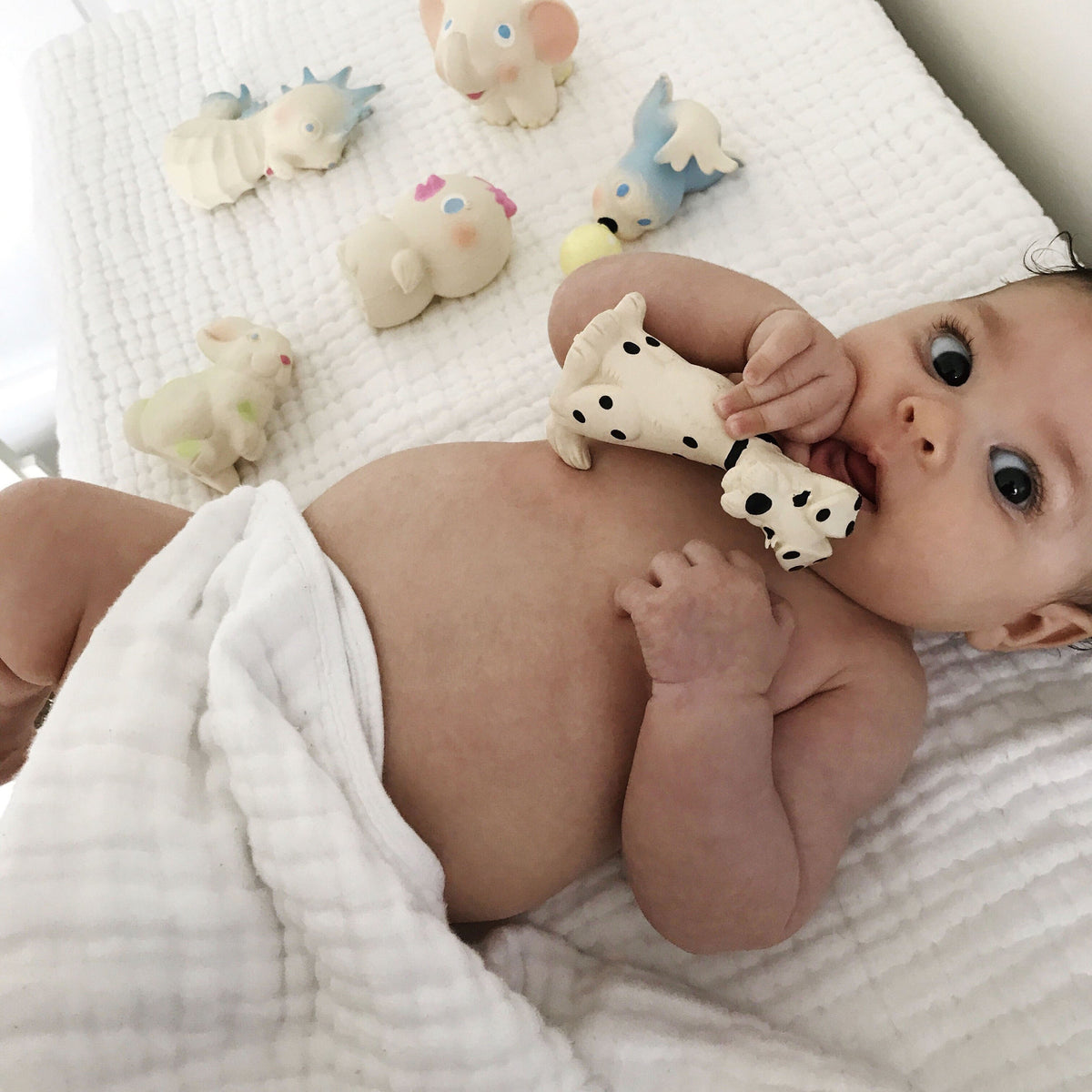 oli-&amp;-carol-vintage-nelly-the-elephant-teether- (16)