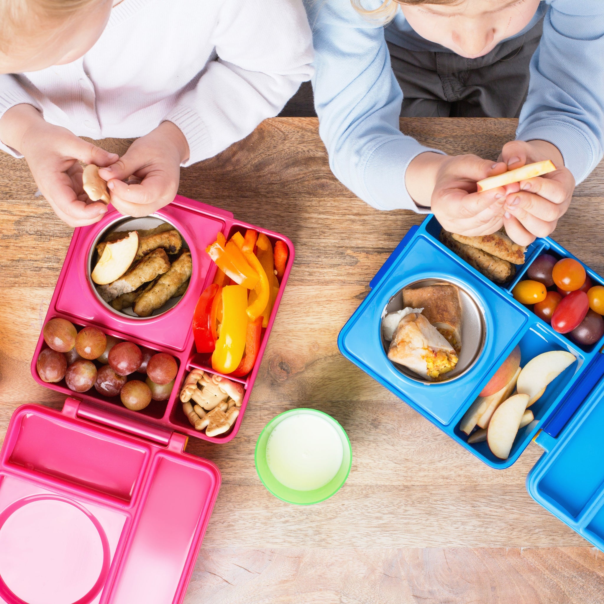 OmieBox thermos bento lunch box - Blue Sky – Bentofan