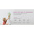 oribel-vertiplay-wall-toy-busy-woodpecker- (3)