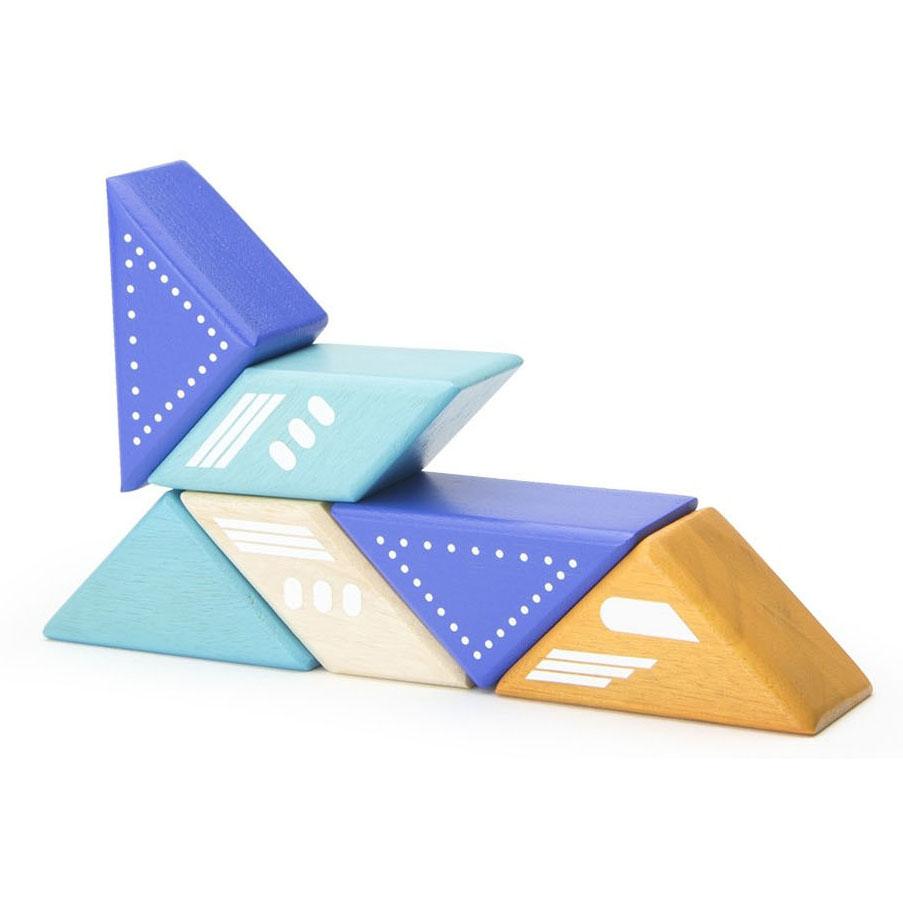Tegu plane sales